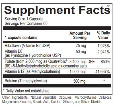 Methyl CpG Supplemental Facts