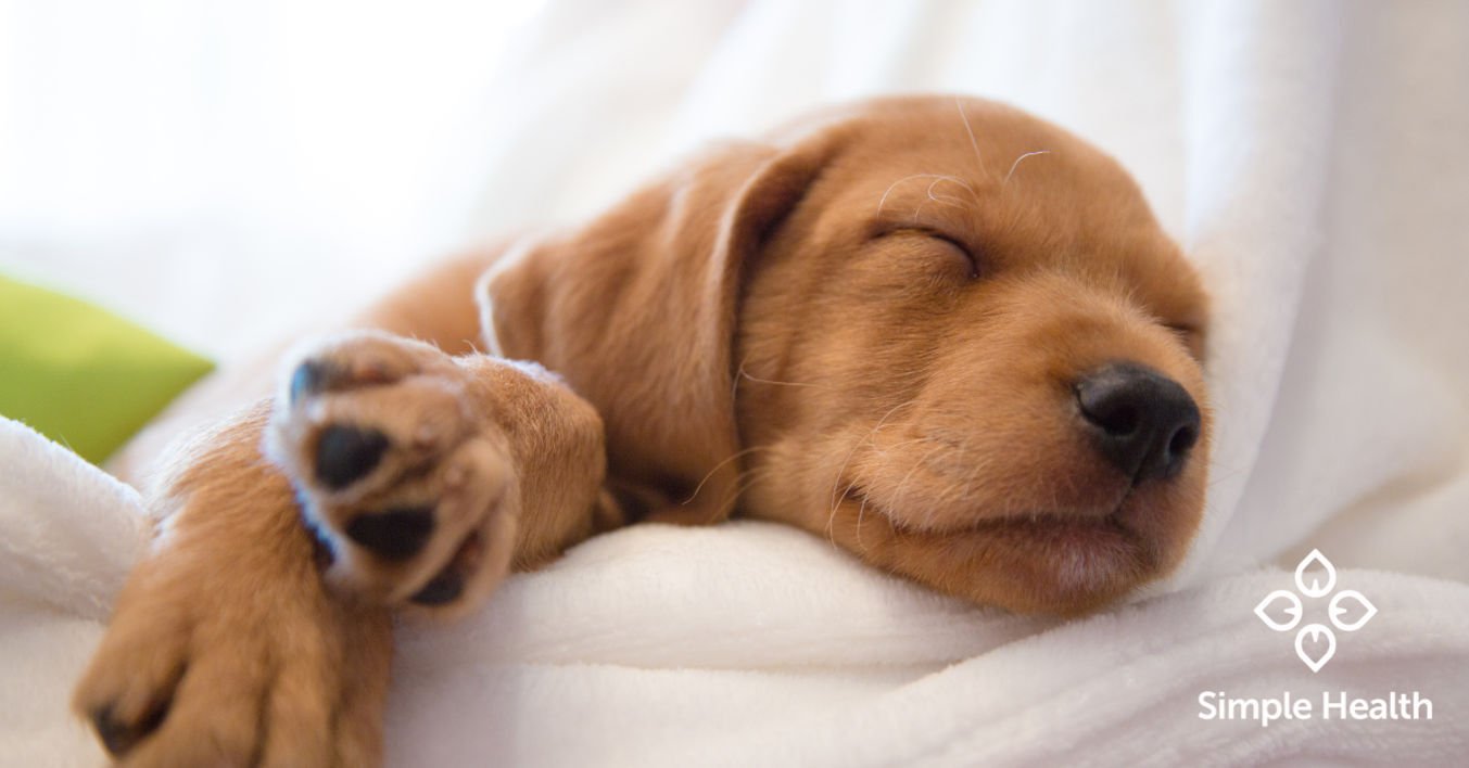 Sleep Soundtracks: Do They Really Work?